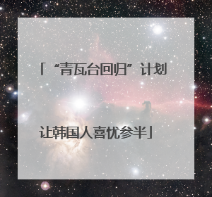 “青瓦台回归”计划让韩国人喜忧参半