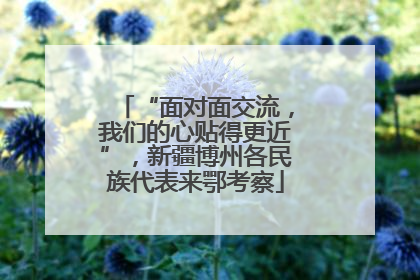 “面对面交流，我们的心贴得更近”，新疆博州各民族代表来鄂考察