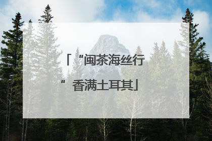 “闽茶海丝行”香满土耳其