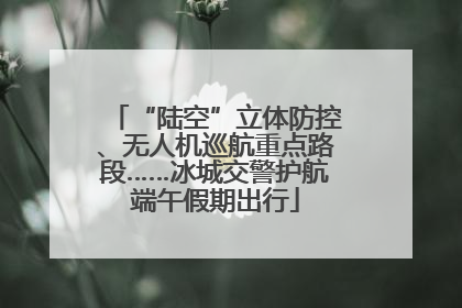 “陆空”立体防控、无人机巡航重点路段……冰城交警护航端午假期出行