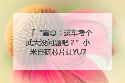“雷总：这车考个武大没问题吧？”小米自研芯片让YU7会学习｜汽车科技
