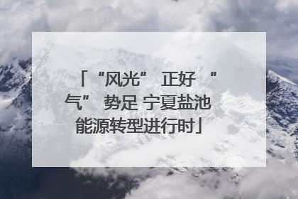 “风光” 正好 “气” 势足 宁夏盐池能源转型进行时