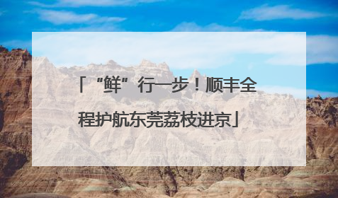 “鲜”行一步！顺丰全程护航东莞荔枝进京