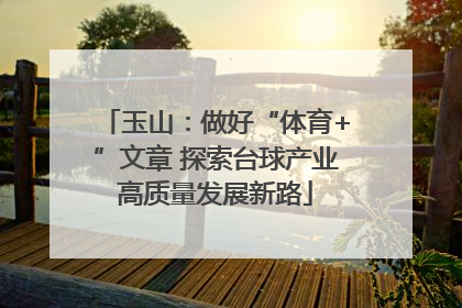 玉山：做好“体育+”文章 探索台球产业高质量发展新路