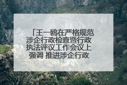 王一鸥在严格规范涉企行政检查暨行政执法评议工作会议上强调 推进涉企行政检查质效大幅提升