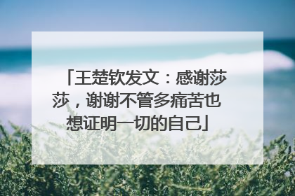 王楚钦发文：感谢莎莎，谢谢不管多痛苦也想证明一切的自己