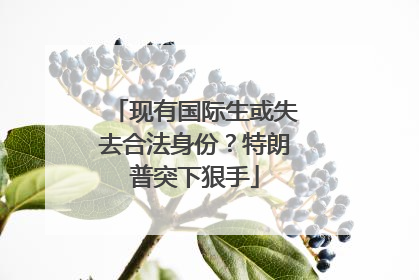 现有国际生或失去合法身份？特朗普突下狠手