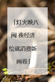 灯火映八闽 夜经济绘就消费新画卷