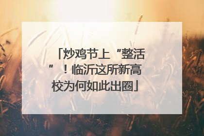 炒鸡节上“整活”！临沂这所新高校为何如此出圈