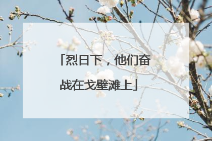 烈日下，他们奋战在戈壁滩上