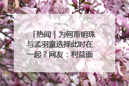 热闻｜为何董明珠与孟羽童选择此时在一起？网友：利益面前啥都能和解