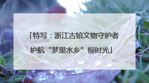 特写：浙江古镇文物守护者 护航“梦里水乡”慢时光