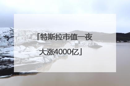 特斯拉市值一夜大涨4000亿
