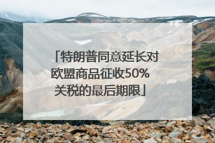 特朗普同意延长对欧盟商品征收50%关税的最后期限