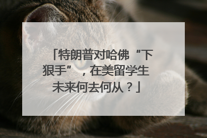特朗普对哈佛“下狠手”，在美留学生未来何去何从？