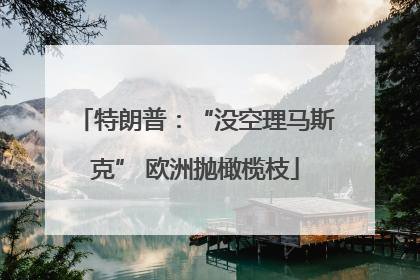 特朗普：“没空理马斯克” 欧洲抛橄榄枝