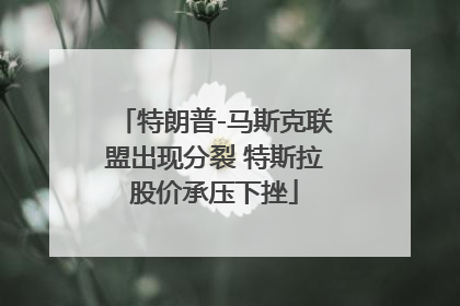 特朗普-马斯克联盟出现分裂 特斯拉股价承压下挫