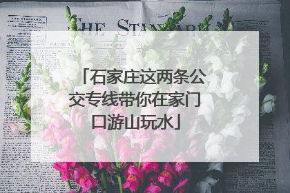 石家庄这两条公交专线带你在家门口游山玩水