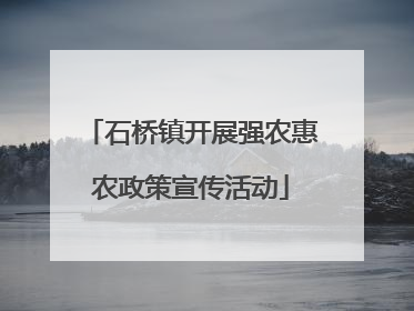 石桥镇开展强农惠农政策宣传活动