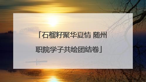 石榴籽聚华夏情 随州职院学子共绘团结卷