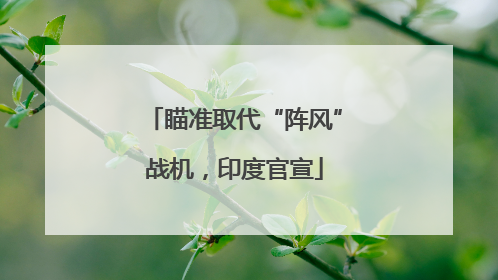 瞄准取代“阵风”战机，印度官宣