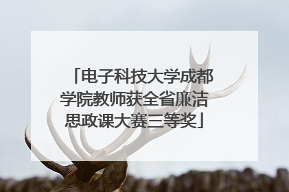 电子科技大学成都学院教师获全省廉洁思政课大赛三等奖
