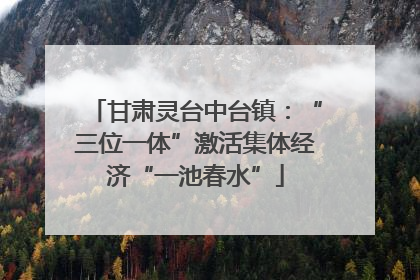 甘肃灵台中台镇：“三位一体”激活集体经济“一池春水”