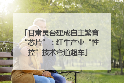 甘肃灵台建成自主繁育“芯片”：红牛产业“性控”技术弯道超车
