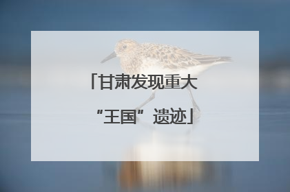 甘肃发现重大“王国”遗迹