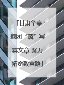 甘肃华亭：抱团“蔬”写菜文章 聚力拓宽致富路