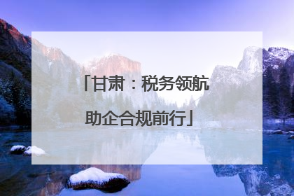 甘肃：税务领航 助企合规前行