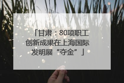 甘肃：80项职工创新成果在上海国际发明展“夺金”