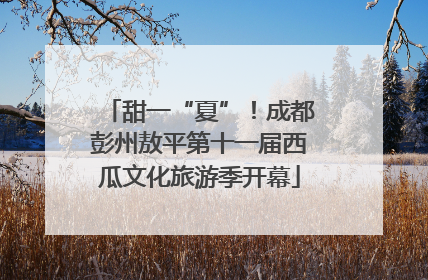 甜一“夏”！成都彭州敖平第十一届西瓜文化旅游季开幕