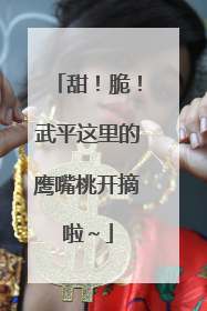 甜！脆！武平这里的鹰嘴桃开摘啦～