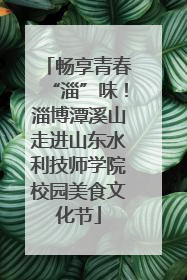 畅享青春“淄”味！淄博潭溪山走进山东水利技师学院校园美食文化节