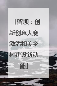 留坝：创新创意大赛激活和美乡村建设新动能