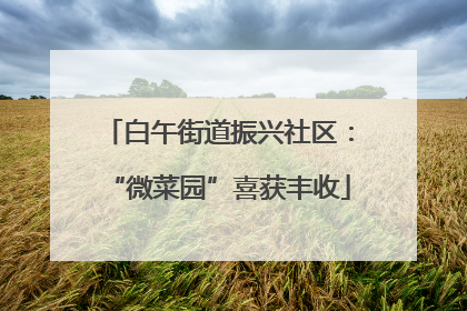 白午街道振兴社区：“微菜园”喜获丰收