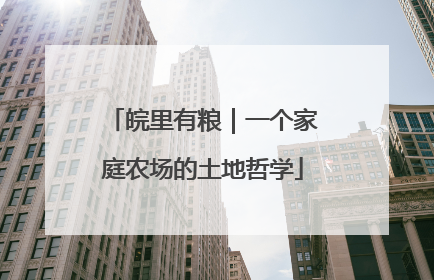 皖里有粮｜一个家庭农场的土地哲学