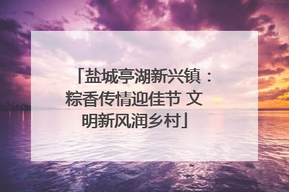 盐城亭湖新兴镇：粽香传情迎佳节 文明新风润乡村