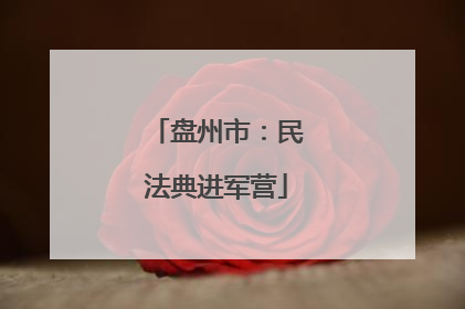 盘州市：民法典进军营