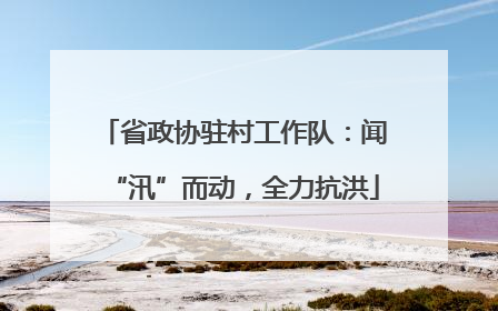 省政协驻村工作队：闻“汛”而动，全力抗洪