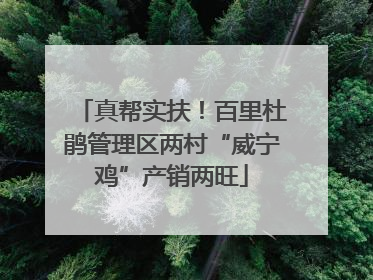 真帮实扶！百里杜鹃管理区两村“威宁鸡”产销两旺