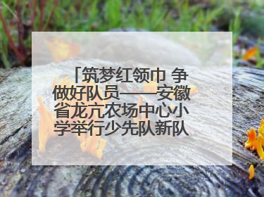 筑梦红领巾 争做好队员——安徽省龙亢农场中心小学举行少先队新队员入队仪式
