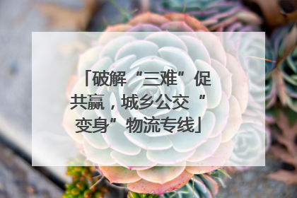 破解“三难”促共赢，城乡公交“变身”物流专线