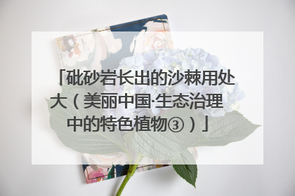 砒砂岩长出的沙棘用处大（美丽中国·生态治理中的特色植物③）