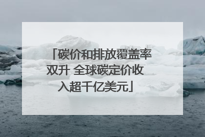 碳价和排放覆盖率双升 全球碳定价收入超千亿美元