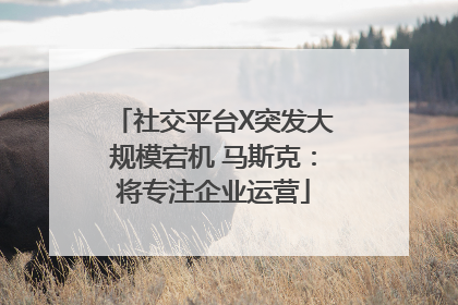 社交平台X突发大规模宕机 马斯克：将专注企业运营