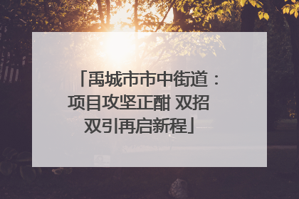 禹城市市中街道：项目攻坚正酣 双招双引再启新程