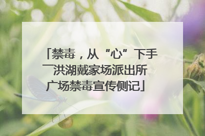 禁毒，从“心”下手――洪湖戴家场派出所广场禁毒宣传侧记