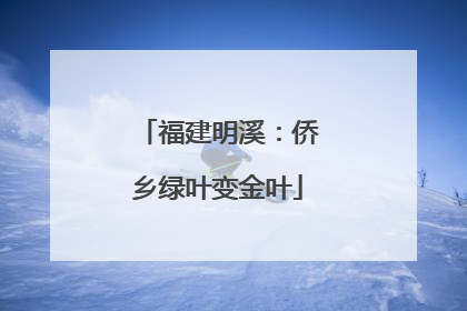 福建明溪：侨乡绿叶变金叶